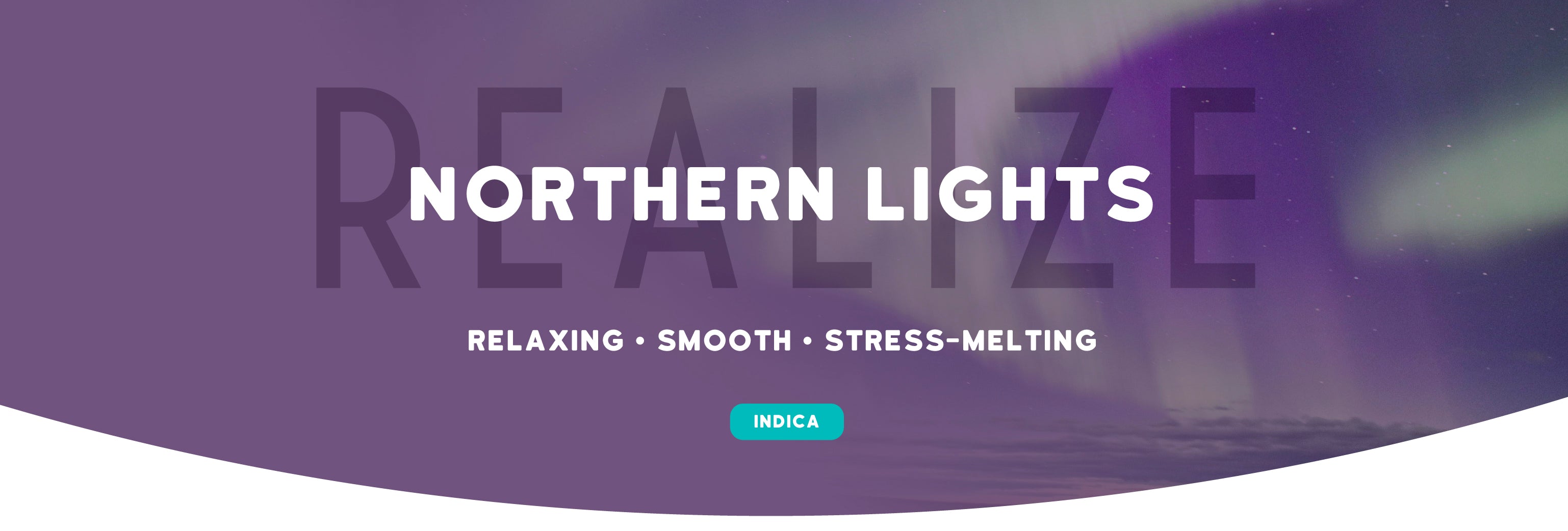 Northern Lights